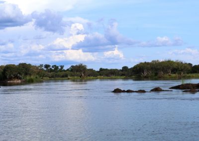 Chobe River