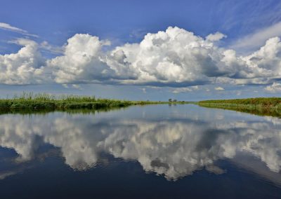 Chobe River